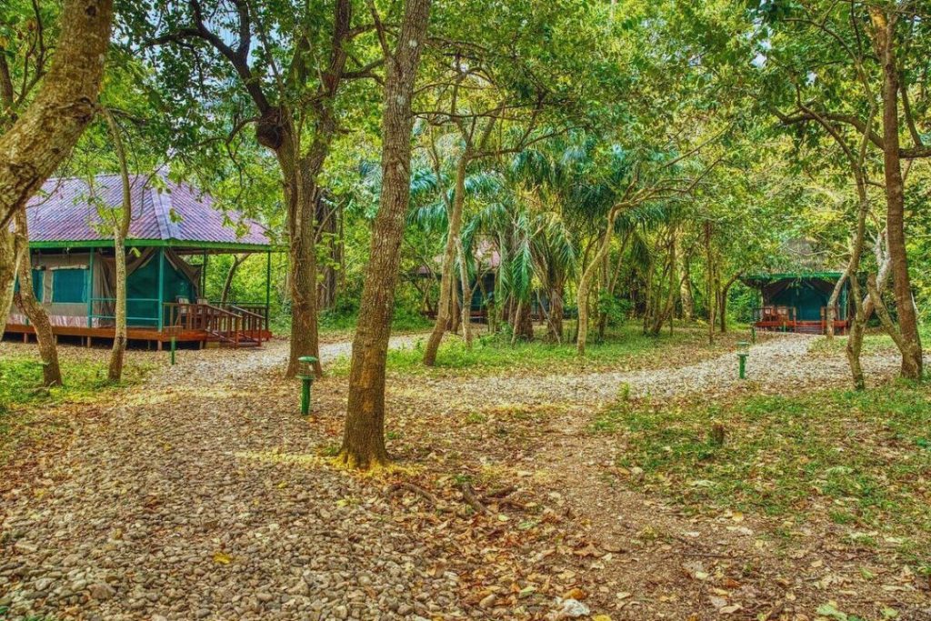 Gombe Forest Lodge (2)