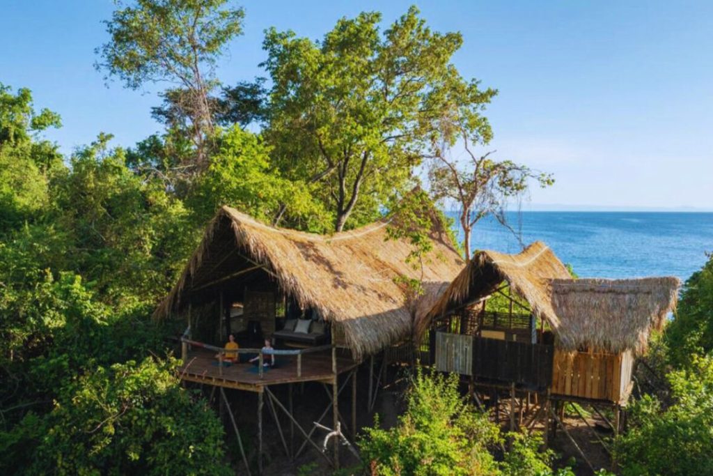 Greystoke Mahale (2)