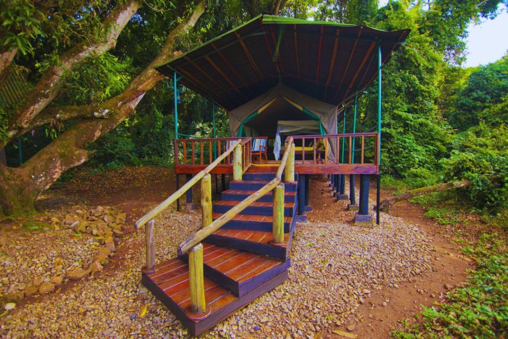 Mbali Mbali Gombe Lodge (7)